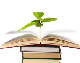 Growing Through Research